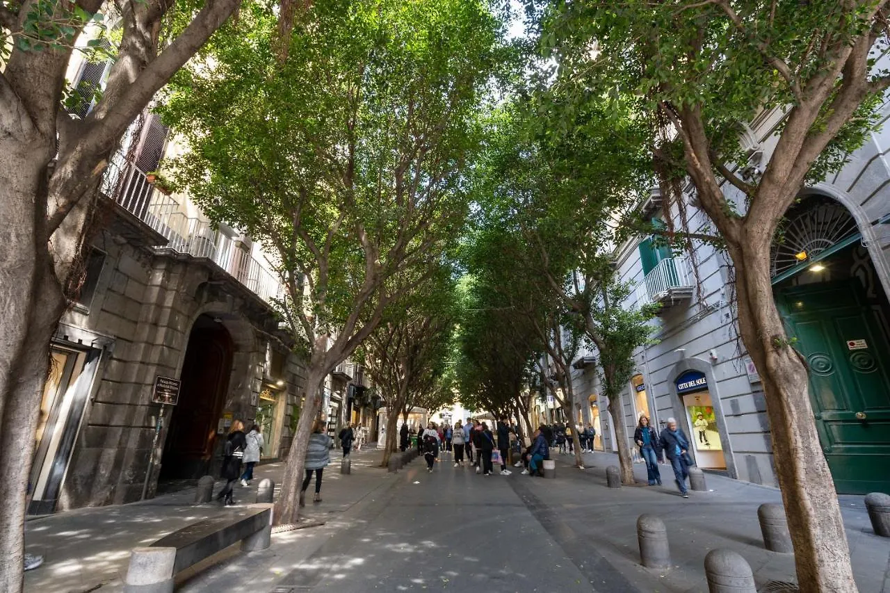 Appartamento Elegante Con Terrazzino Nel Centro Di Napoli Apartment Naples